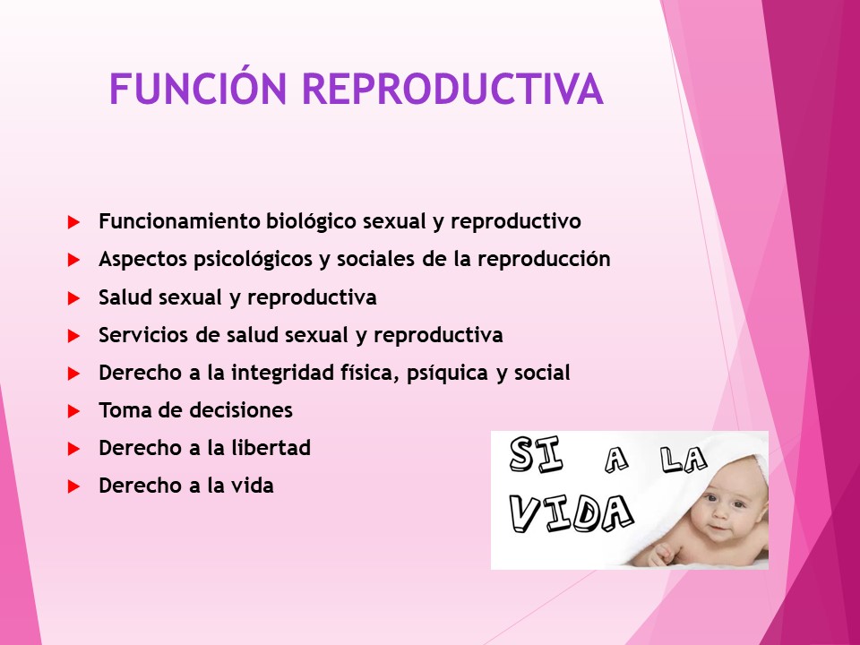 Diapositiva15
